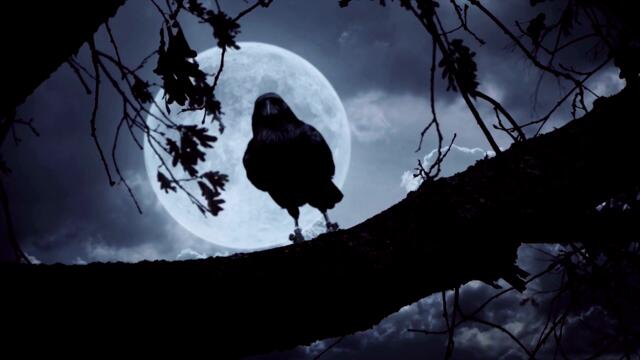 The Unknown Quantity ♦ By Unknown ♦ Horror & Supernatural Fiction ♦ Full Audiobook