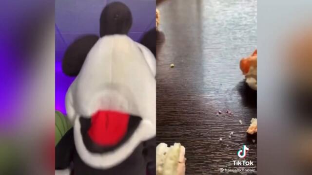 Best Of Mickey Mouse Reacts TikToks Vol 3 | TikTok Compilation