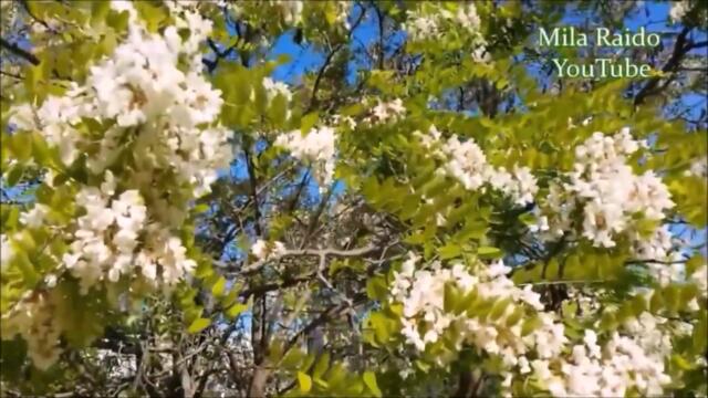 Сергей Орлов 🌿 ЧУВСТВУЮ
