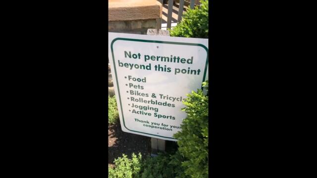 ЗАБАВНИ ТИКТОЦИ