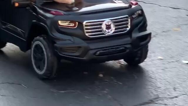 Котенце се вози в количка Video 2 !