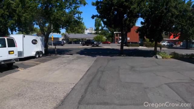 Bike thief tries out running a Zero 10x.