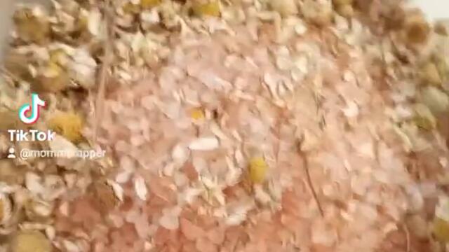 flowers are a form of love 🥰