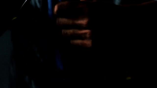 The Steoples - In The Dance