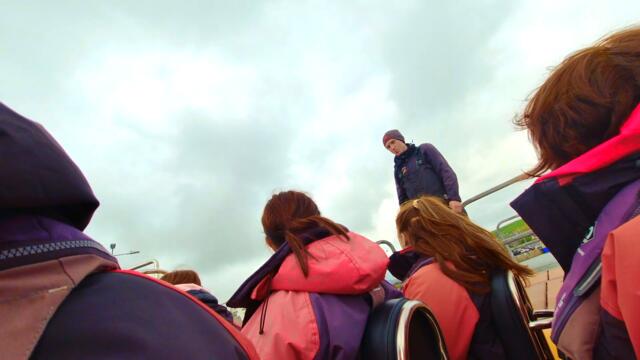 Exploring Dingle's Nature Part 1: Dolphin in Ireland| Dingle Dolphin Tour| Dingle Sea Safari