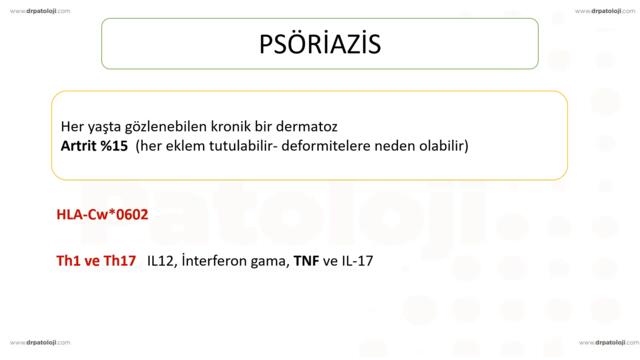 Her TUS soru gelen bir konu. Kronik İnflamatuar Dermatoz ve Vezikülobüllöz hastalıklar.