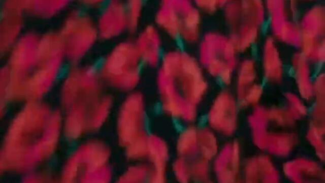 Şengül’ün fenomen dansı #Shorts