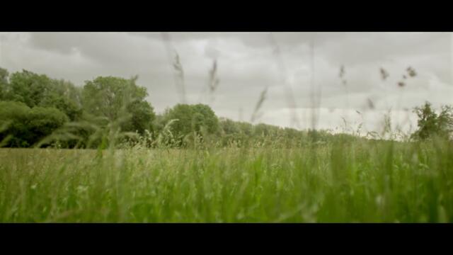 Sigur Rós - Ekki múkk [Official Music Video]