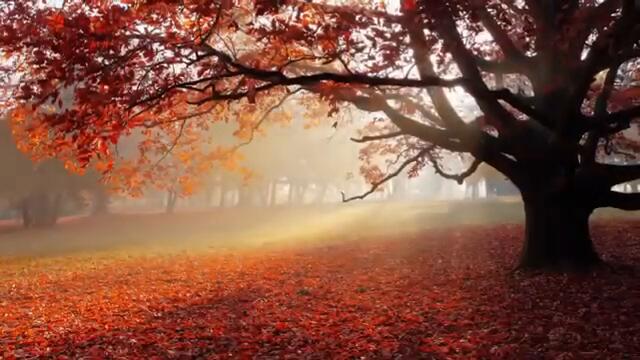 Романтическая музыка для двоих/Романтическая музыка видео 2021