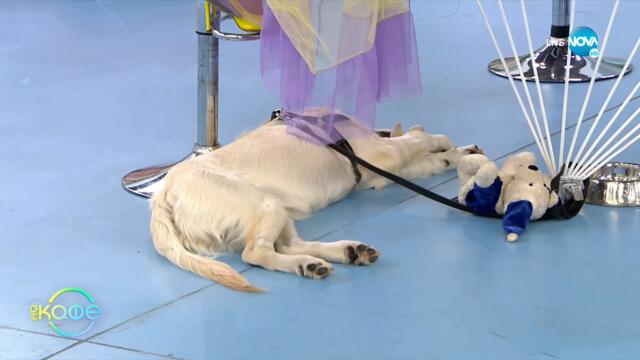 Екатерина Генова: За срещите си с хората на изкуството - На кафе (30.07.2021)