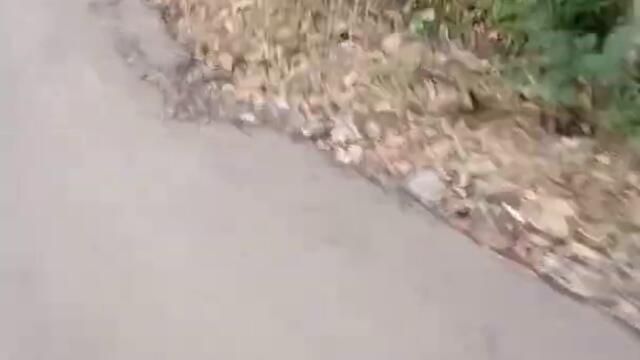 Refreshing Situ ZANAWI !!! 🔴Azis Mv