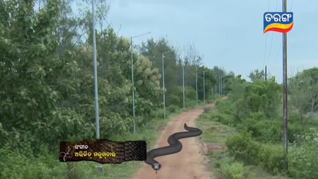 Maaya | Full Ep 353 | 30th July 2021 | Odia Serial – TarangTV