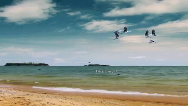 PAUL MAURITAT ♛ PERFIDIA  🎵🎶🎵🎶