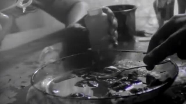 The Lemonheads - My Drug Buddy (Video)