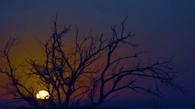 Шаманское полнолуние.