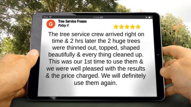 Tree Service Fresno CA - Tree Service Fresno Review