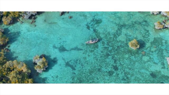 Elyanna - Fi Hagat (Creative Ades Remix) [Exclusive Premiere] 🦋 Song by Nancy Ajram