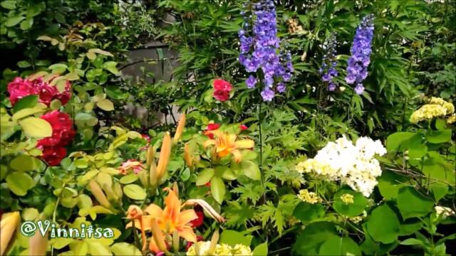 Душевная Песня - Анна Громова 🌿 ОТПУСТИЛА ТЕБЯ ╰❥ @MobyLife​