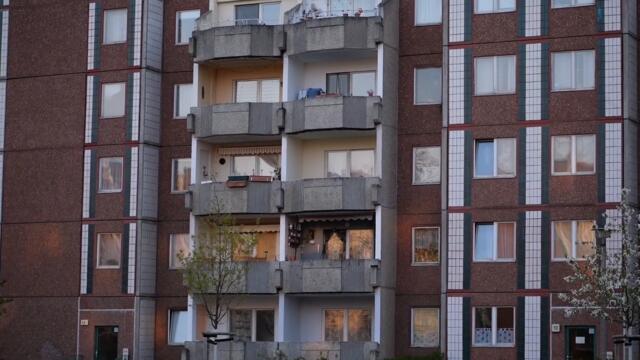 The Ocelots - In Me All Along (Live Video)