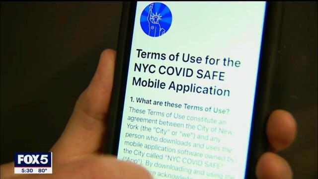 Mickey Mouse fools New York City's vaccine app