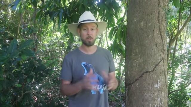 How to Grow 21 Amazing Trees from Seed (Full Presentation)