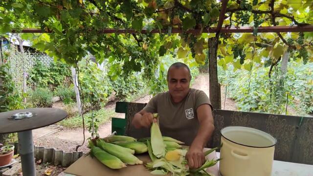 ВАРЕНА МЛЕЧНА СЛАДКА ЦАРЕВИЦА! "ТОПЛА КУКУРУЗА, МОЛЯ, ВИАГРА, КОЙТО РАЗБИРА, ПРИ БАТ САШО СЕ СПИРА"!
