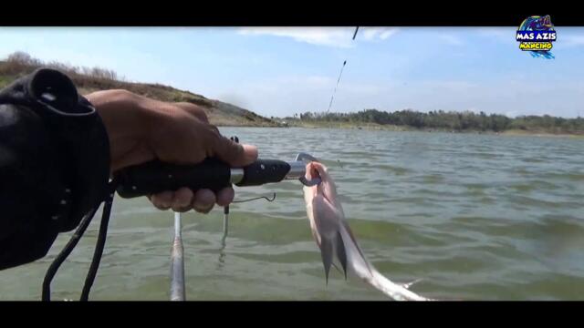 Mancing Pakai Ramuan Ini AMPUH Babon Mujahirnya Mendarat - Spot WWL