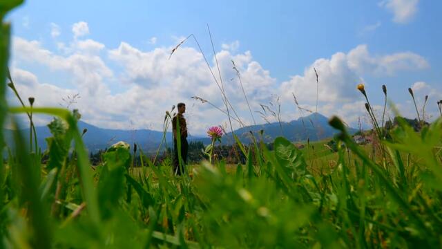 Marlais - Died For Love