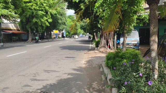 Bus Aek Nabara Sampai Ke Jogja❗ Bus Bilah Pane Putra