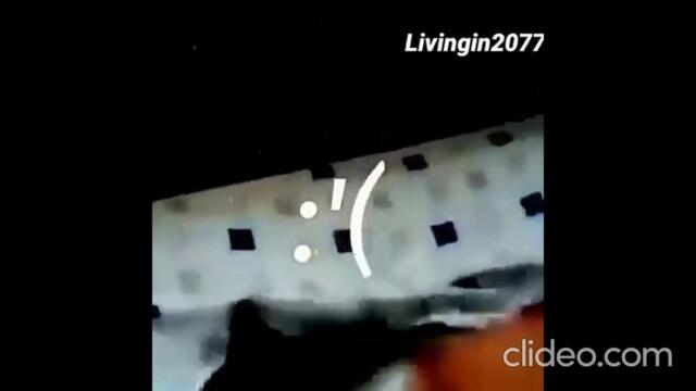 dont-stop-meow_Q6qHgZpr_EpZj