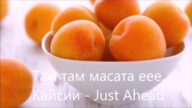 Къде са кайсиите? Цялата песен пародиен превод и снимки