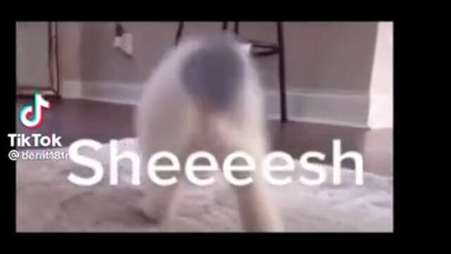 когато  Пепи ЧУЕ   мазен кючек 🙄🤩🤣🤣🤣🤣🤣