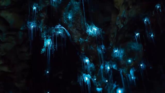 Glowing Cave ♛ Светеща пещера на светулките в Нова Зеландия 💓️ ☀️ ¸.•*´¨♛ Waitomo Glowworm Cave New Zealand Amazing