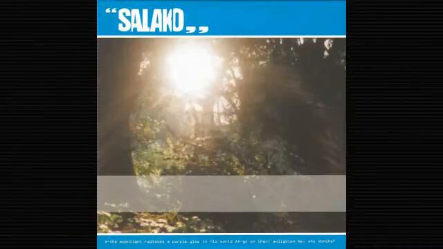 Salako - The Moonlight Radiates a Purple Glow in His World