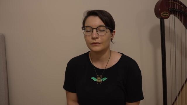 Why my video was removed - [ I found the heaviest distortion pedal and used it on harp ]