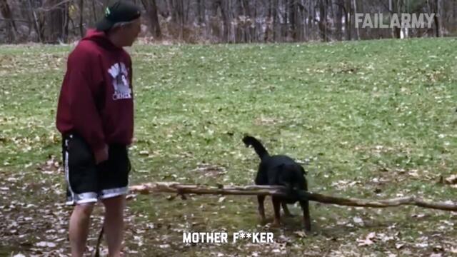 OLD DOG NEW FAILS | Dogs Failing Compilation