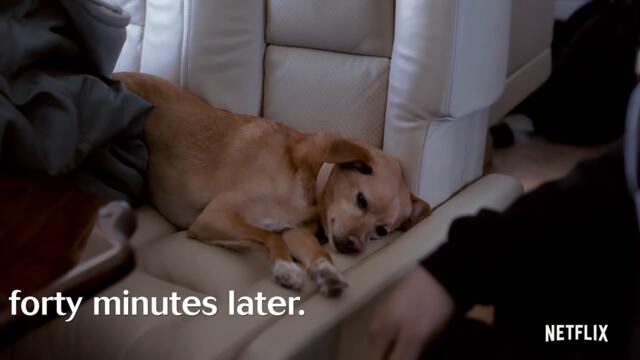 ariana and scott react to midsommar | ariana grande: excuse me, i love you | netflix