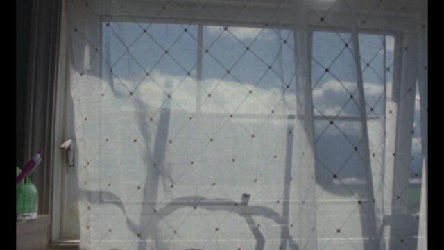 Haley Blais - Firestarter (Official Video)