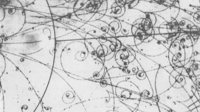 Strand of Paul & Calendar (Live)