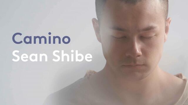 El sombrero de tres picos: V. Danza del molinero (Arr. for Guitar)