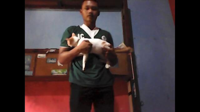 Iqbal soli azis waloyo_J0315211071