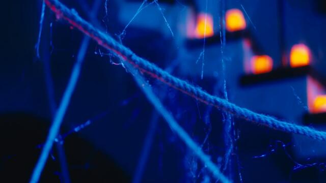 Ellise - Bruises (Official Video)