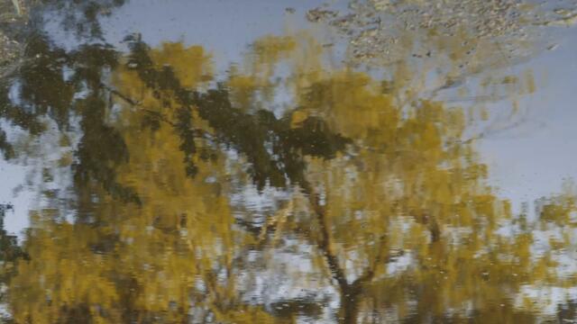 PawPaw Rod - Thin Lines (Official Video)