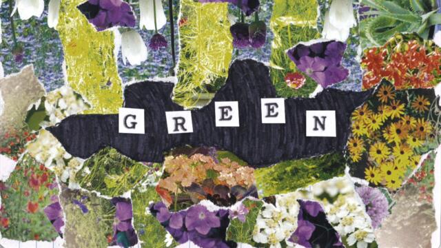 Fräulein - Belly (Official Lyric Video)