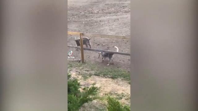 Тик Ток Приколы Лучшие Видео Tik Tok / ПРИКОЛЫ В ТИК ТОК ДЛЯ ВЗРОСЛЫХ