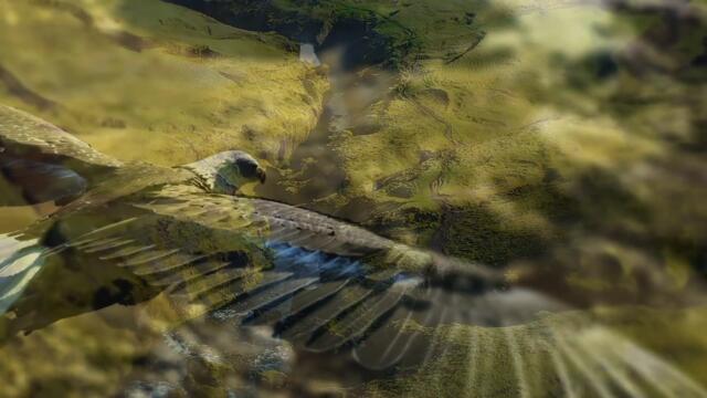 YES - Dare To Know (Official Video)