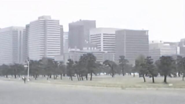 Trolleycat - THE HOME OF 47