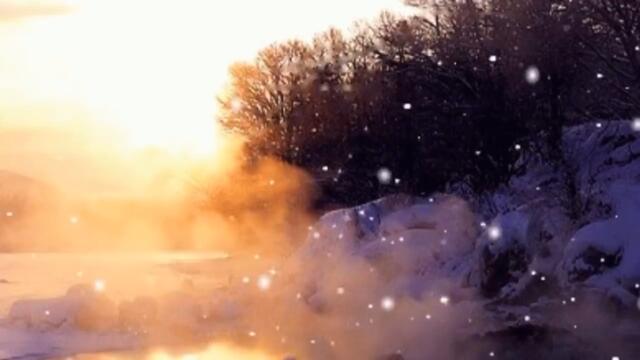 [HD] Karaoke Người Mèo Ơn Đảng (Karaoke by Kgmnc)