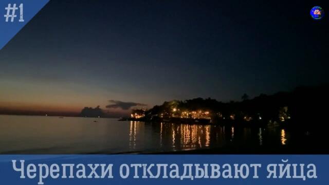 ТОП 10 вещей которые на самом деле происходят во время Полнолуния!