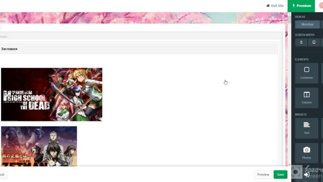 Anime Paradise Админ Права